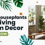 Best Houseplants For Living Room Decor