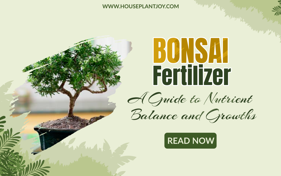 Bonsai Fertilizer: A Guide to Nutrient Balance and Growths