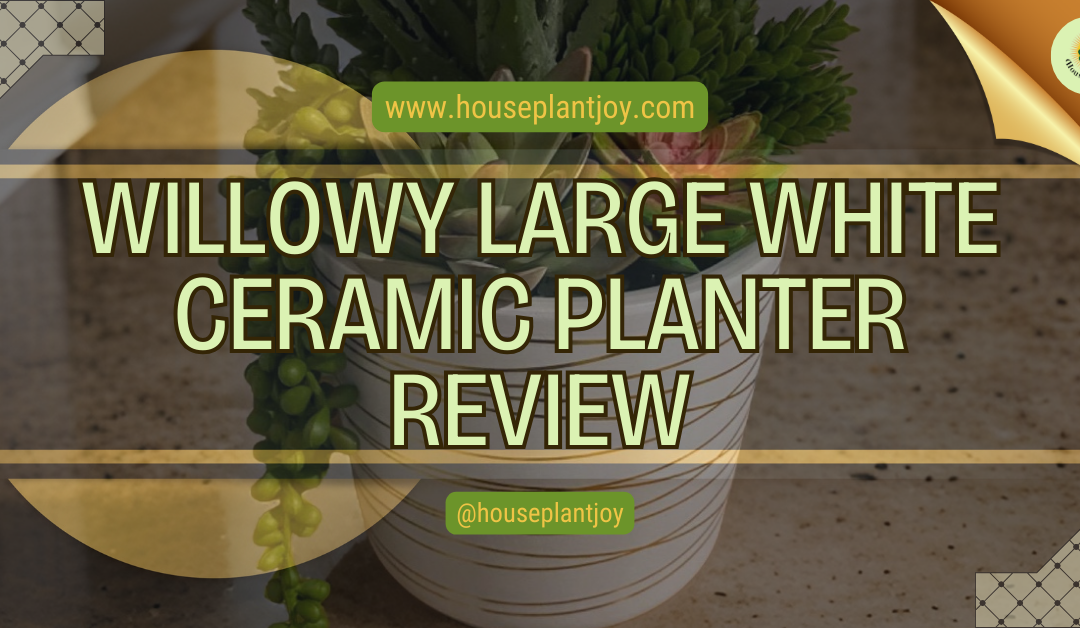 Willowy Large White Ceramic Planter Review