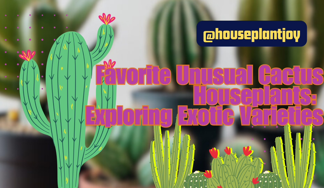 Favorite Unusual Cactus Houseplants: Exploring Exotic Varieties