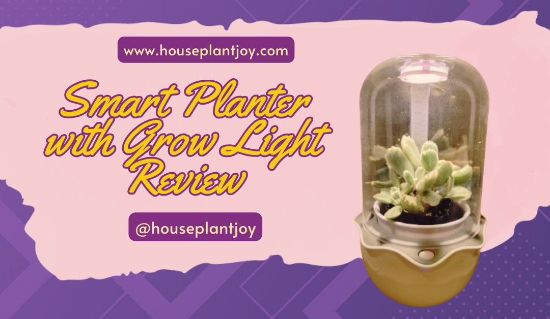 Smart Planter with Grow Light Review