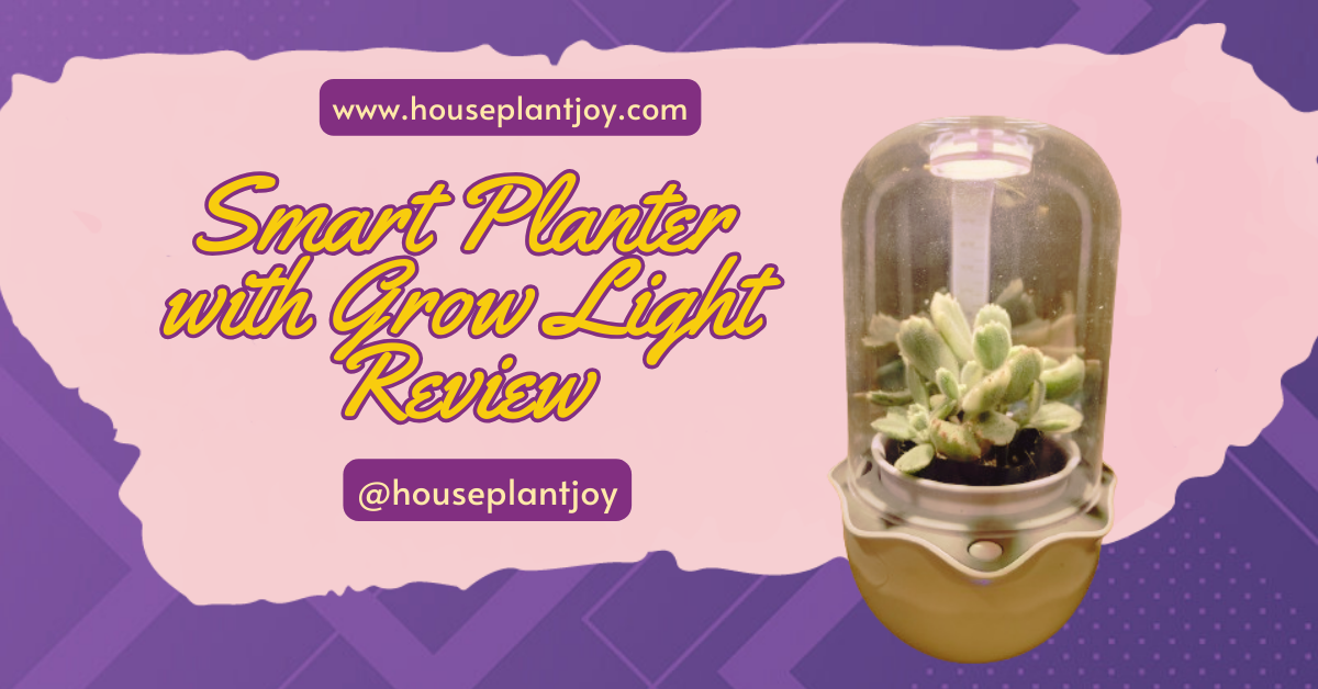 Planter with grow light