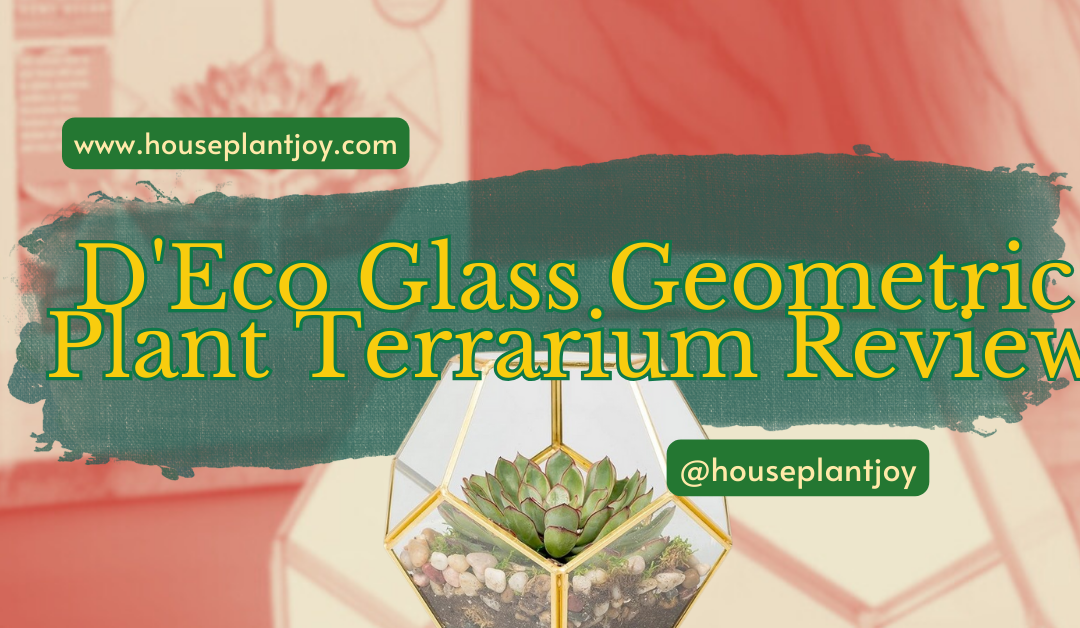 D’Eco Glass Geometric Plant Terrarium Review