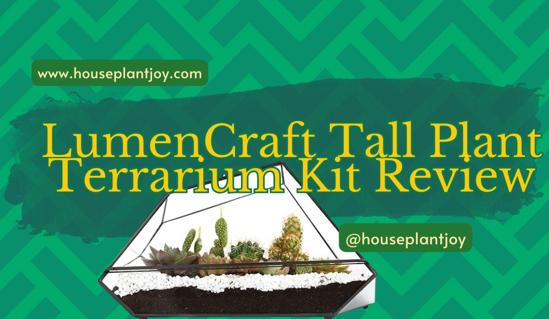 LumenCraft Tall Plant Terrarium Kit Review