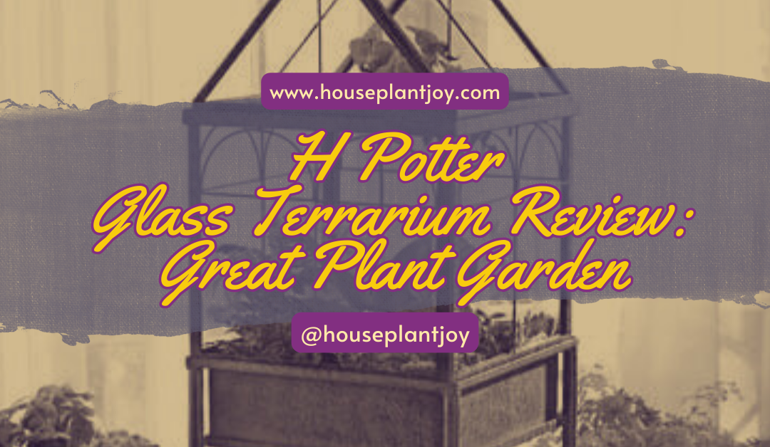 H Potter Glass Terrarium Review: Great Plant Garden