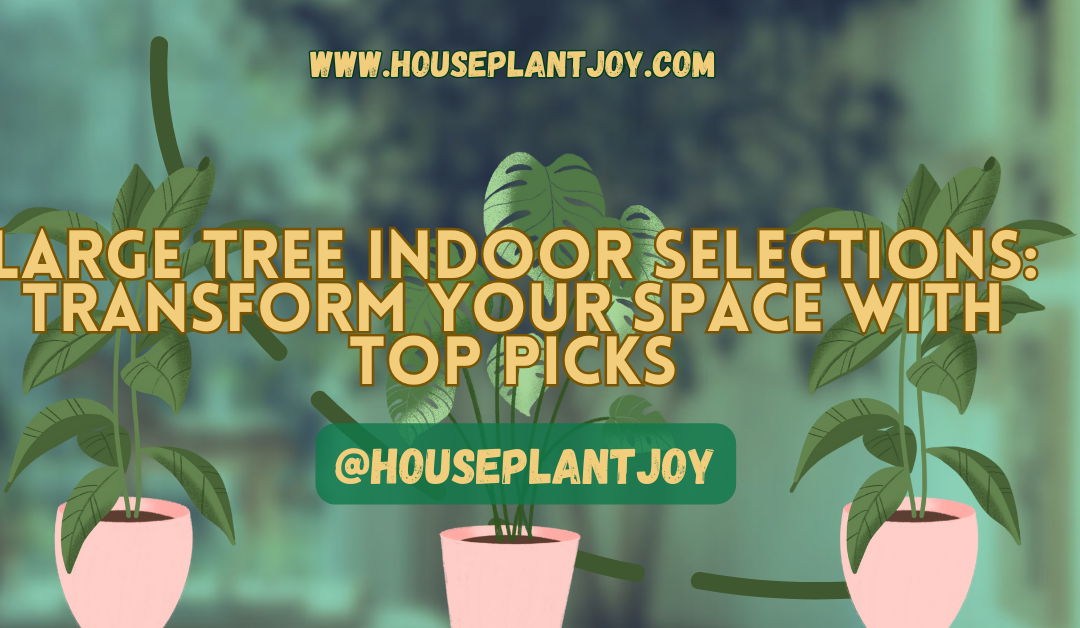 Large Tree Indoor Selections: Transform Your Space with Top Picks