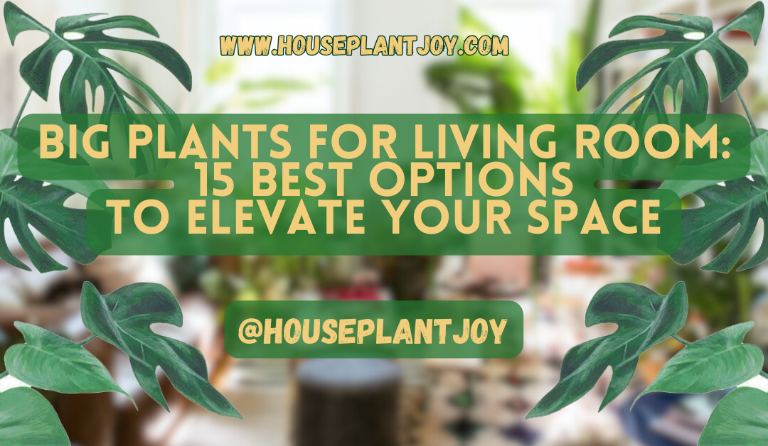Big Plants for Living Room: 15 Best Options to Elevate Your Space