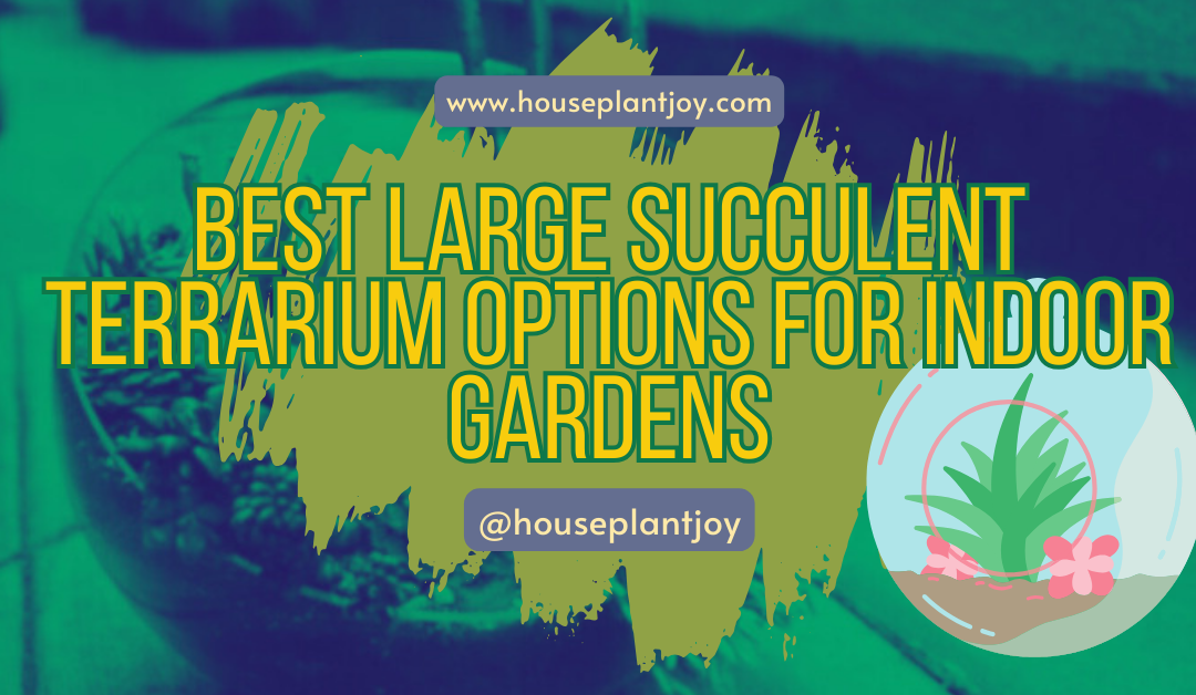 Best Large Succulent Terrarium Options for Indoor Gardens