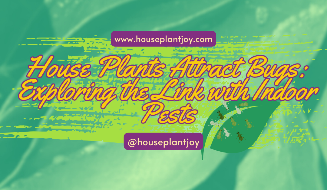 House Plants Attract Bugs: Exploring the Link with Indoor Pests