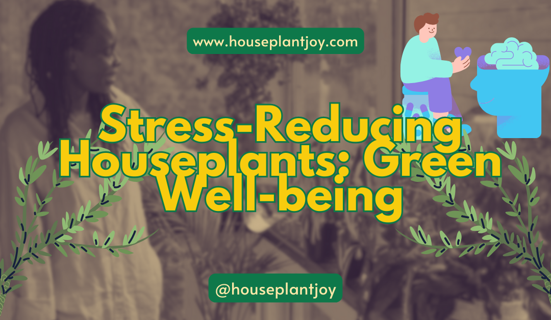 Stress-Reducing Houseplants: Green Well-Being