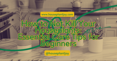 Sexual Supplements For Pleasure Enhancement