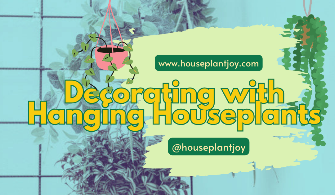 Decorating with Hanging Houseplants