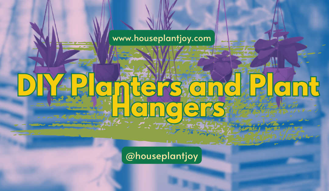 DIY Planters and Plant Hangers