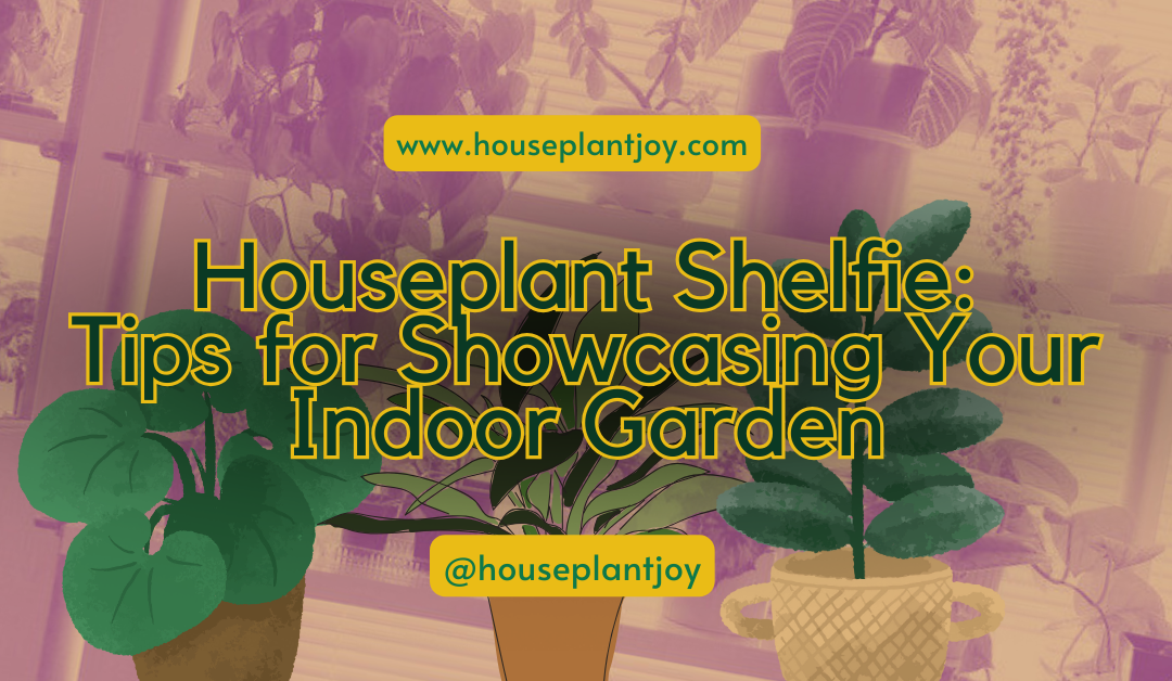 Houseplant Shelfie: Tips for Showcasing Your Indoor Garden
