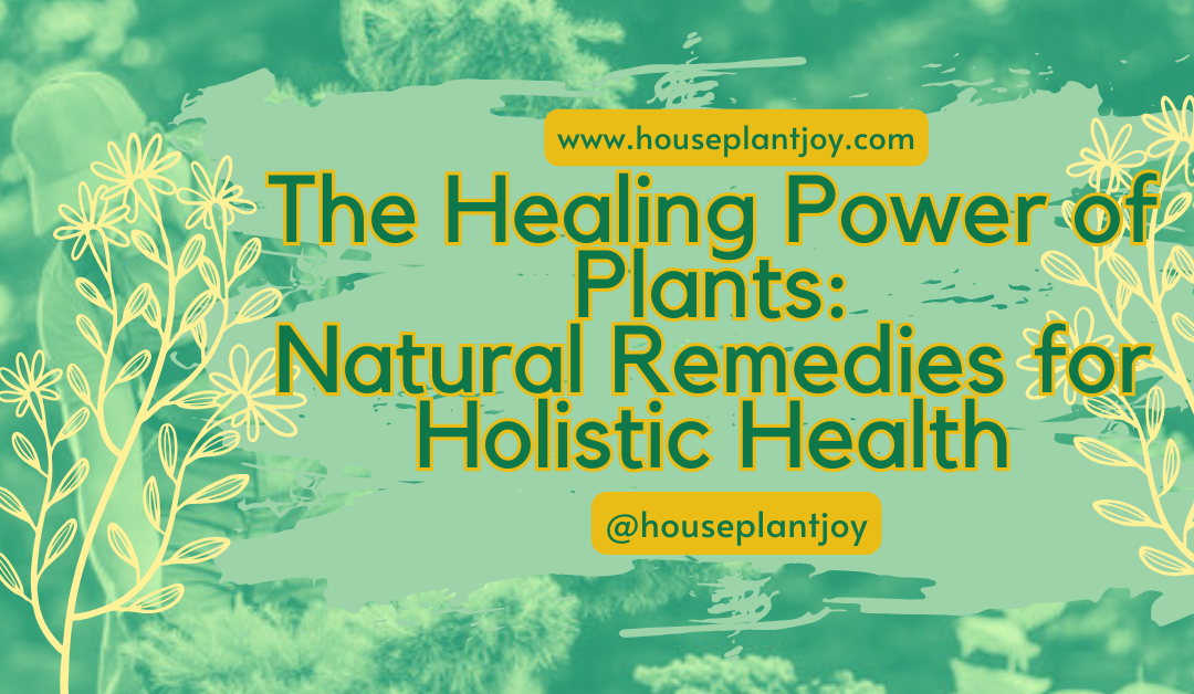 The Healing Power of Plants: Natural Remedies for Holistic Health