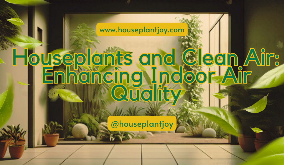 Houseplants and Clean Air: Enhancing Indoor Air Quality