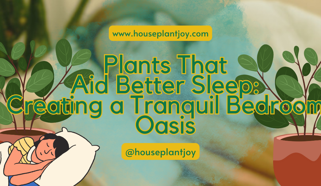 Plants That Aid Better Sleep: Creating a Tranquil Bedroom Oasis