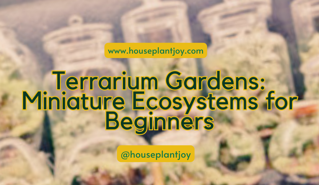 Terrarium Gardens: Miniature Ecosystems for Beginners