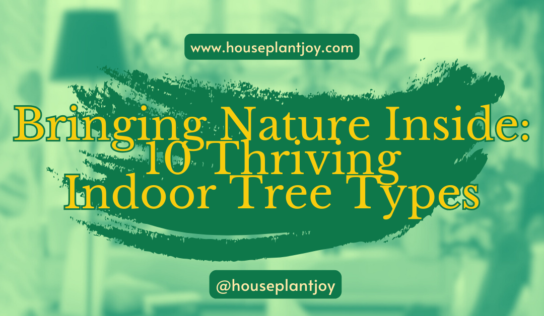 Bringing Nature Inside: 10 Thriving Indoor Tree Types