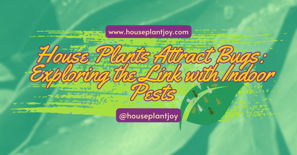 House Plants Attract Bugs Exploring the Link with Indoor Pests