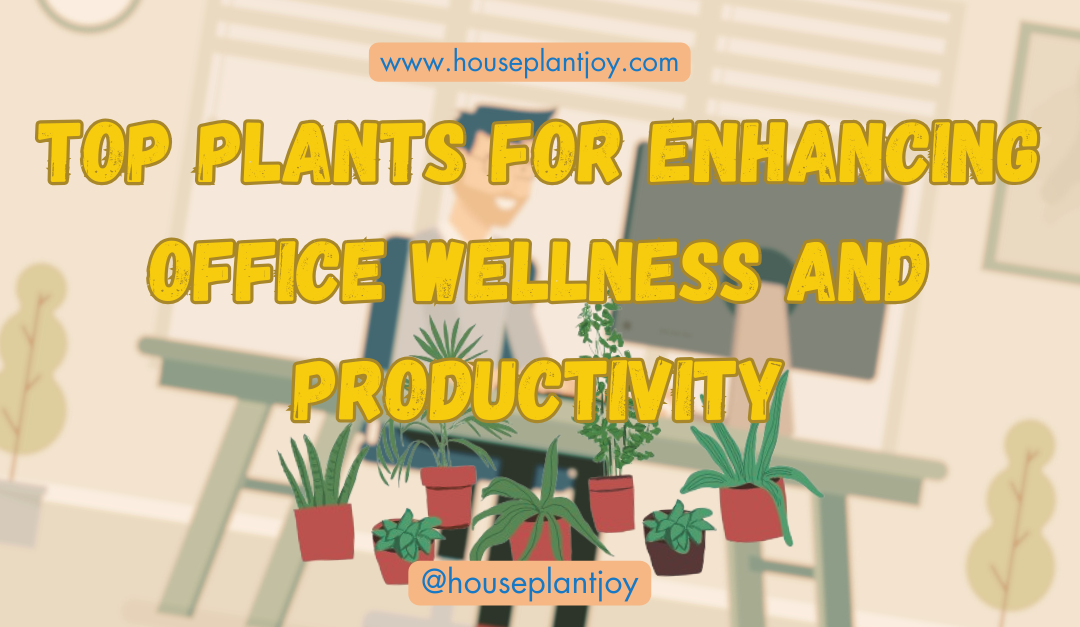 Top Plants for Enhancing Office Wellness and Productivity
