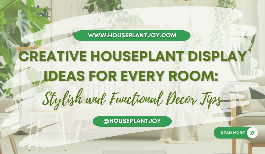 Creative Houseplant Display Ideas for Every Room