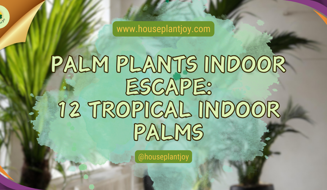 Palm Plants Indoor Escape: 12 Tropical Indoor Palms
