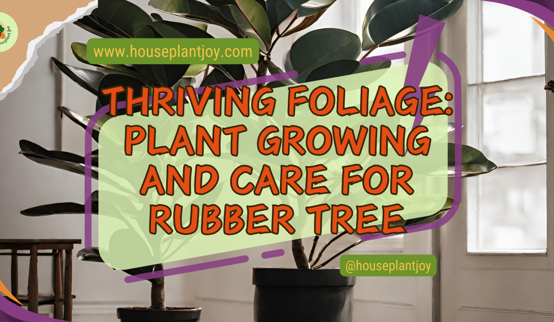 Thriving Foliage: Plant Growing and Care for Rubber Tree