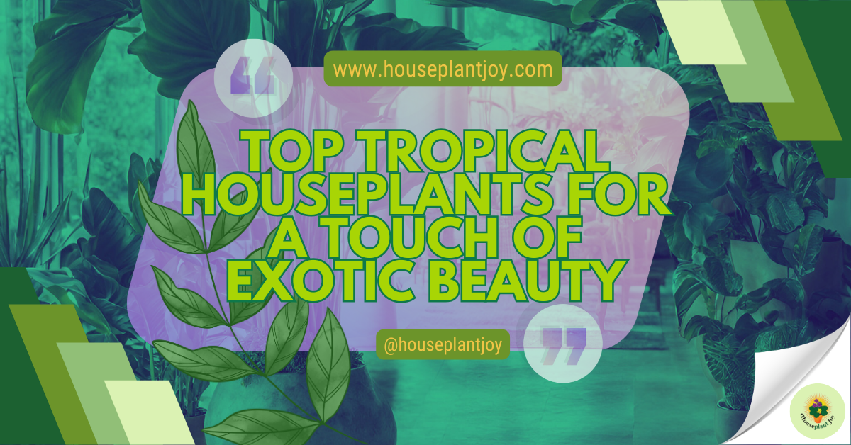 Top Tropical Houseplants