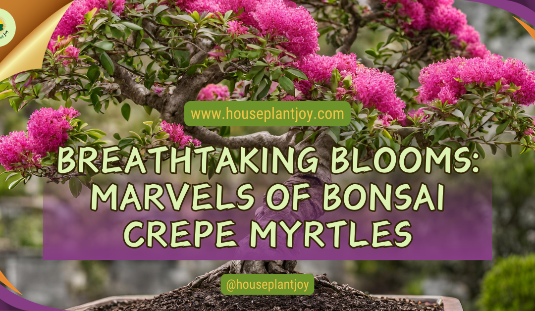 Breathtaking Blooms: Marvels of Bonsai Crepe Myrtles