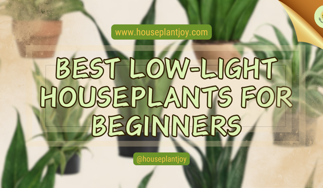 Best Low-Light Houseplants For Beginners