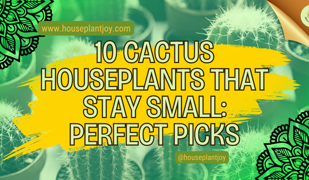 10 Cactus Houseplants That Stay Small: Perfect Picks