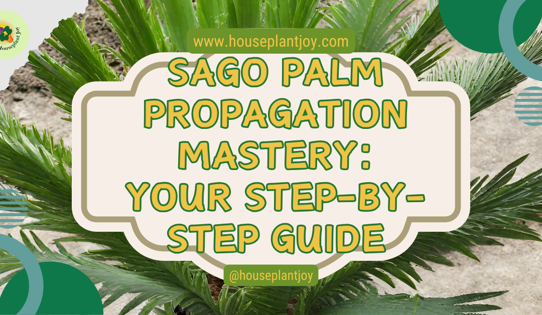 Sago Palm Propagation Mastery: Your Step-by-Step Guide