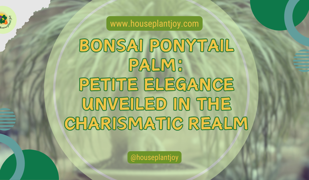 Bonsai Ponytail Palm: Petite Elegance Unveiled in the Charismatic Realm