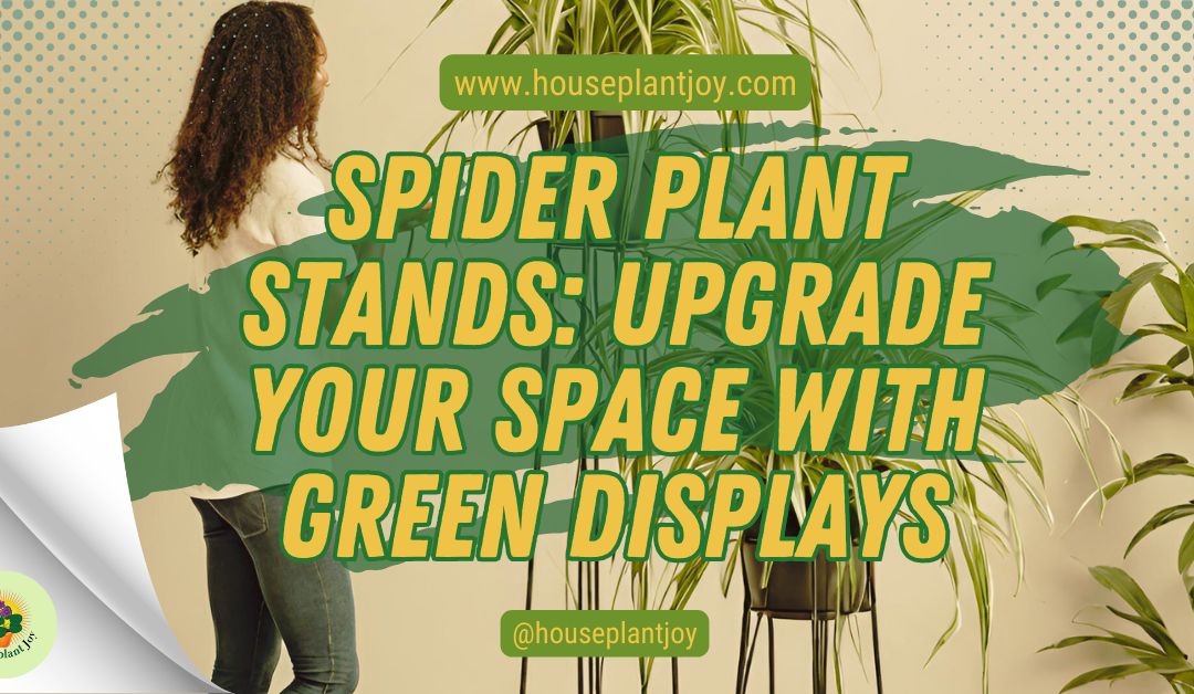 Spider Plant Stands: Upgrade Your Space with Green Displays