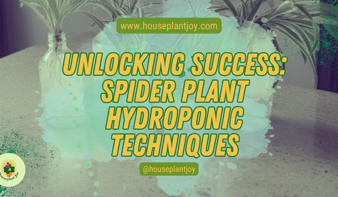 Unlocking Success: Spider Plant Hydroponic Techniques