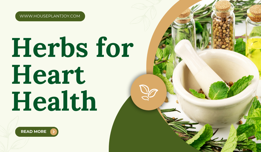 Herbs for Heart Health