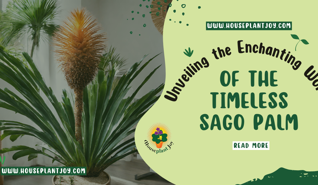 Unveiling the Enchanting World of the Timeless Sago Palm