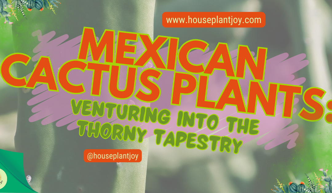 Mexican Cactus Plants: Venturing into the Thorny Tapestry