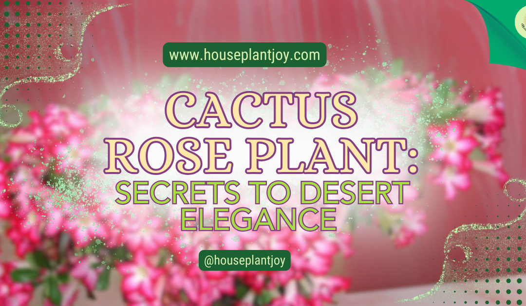 Cactus Rose Plant: Secrets to Desert Elegance