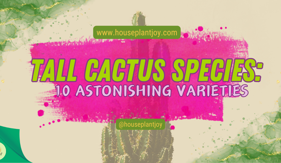 Tall Cactus Species: 10 Astonishing Varieties