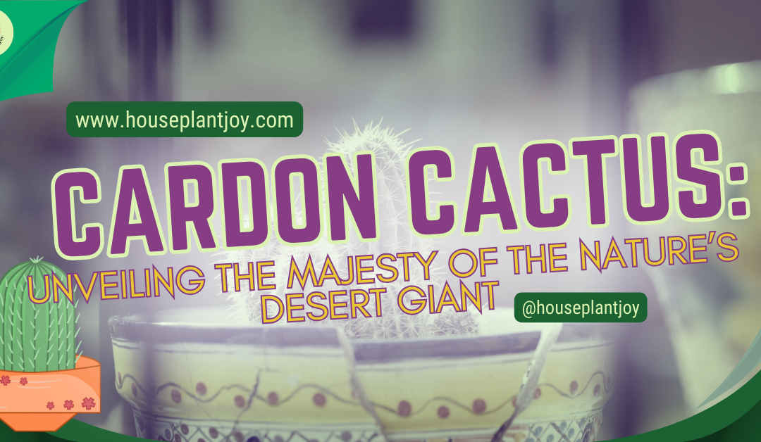 Cardon Cactus: Unveiling the Majesty of the Nature’s Desert Giant