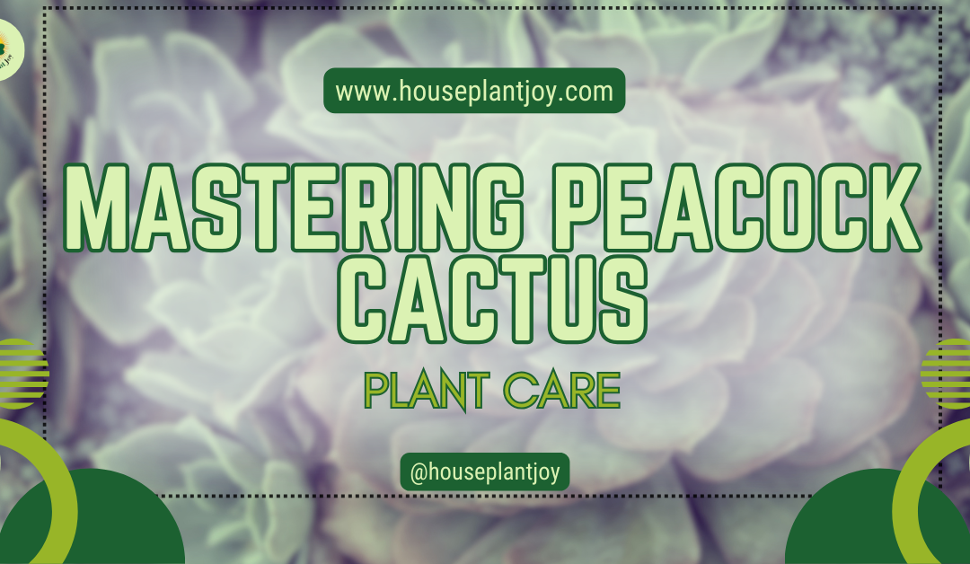 Mastering Peacock Cactus Plant Care
