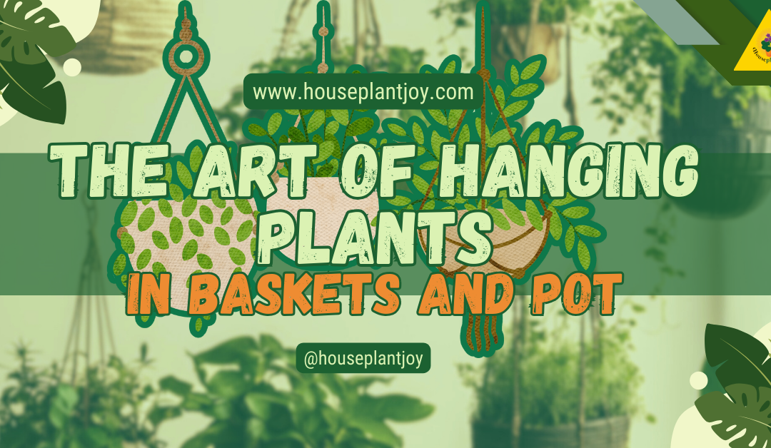 The Art of Hanging Plants in Baskets and Pot