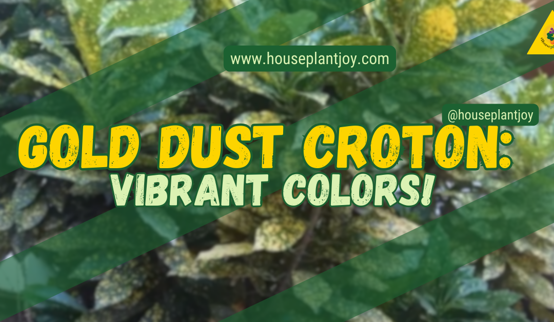 Gold Dust Croton: Vibrant Colors!