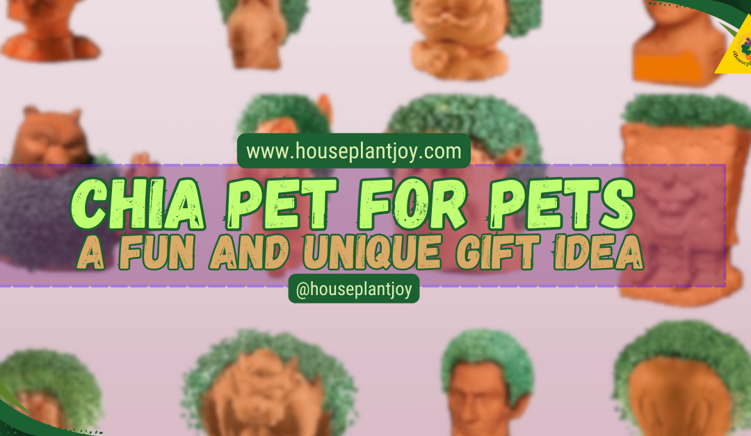 Chia Pet for Pets – A Fun and Unique Gift Idea