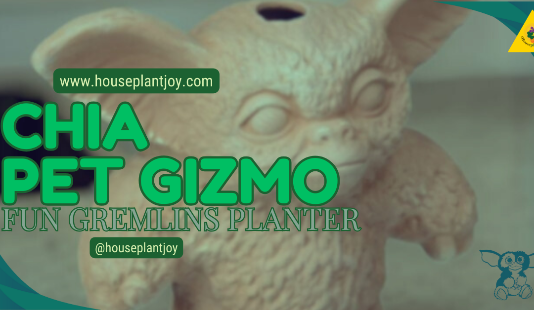 Chia Pet Gizmo – Fun Gremlins Planter