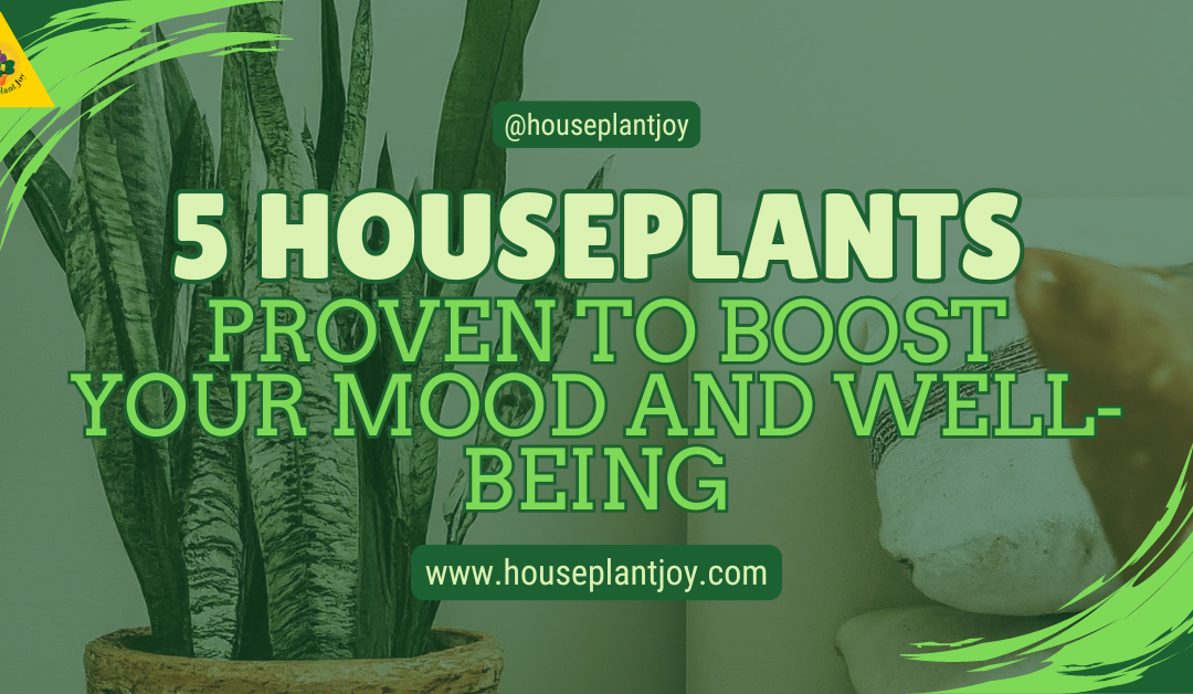 5 Houseplants Proven To Boost Your Mood And Well-Being
