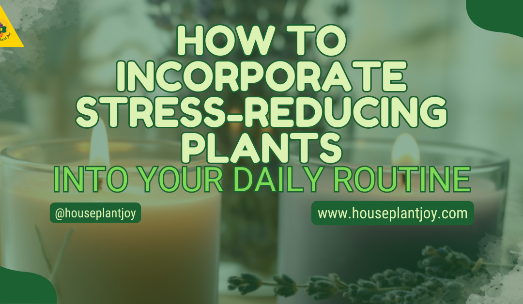How To Incorporate Stress-Reducing Plants Into Your Daily Routine