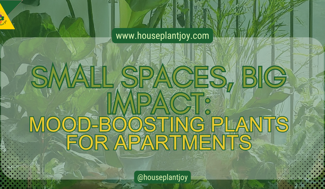 Small Spaces, Big Impact: Mood-Boosting Plants For Apartments